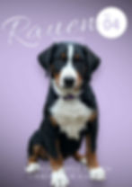 Photoroom_20240811_202736