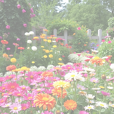 flower garden.png