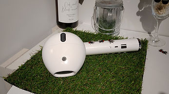 P_20200820_154229aa.jpg
