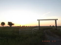 DSCF2043