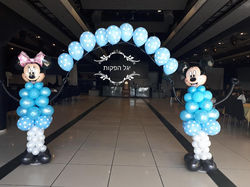 קשת כניסה מיקי ומיני מאוס גוף