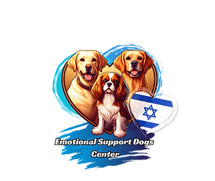 logo new (1).png