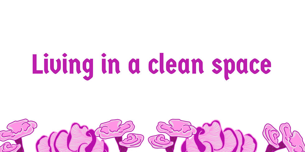 Living in a clean space