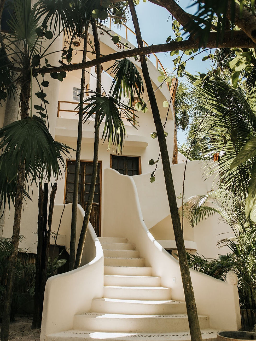 Wide angle view of a sustainable luxury villa surrounded by lush greenery