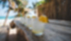 DSC01316.jpg