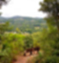 Vue depuis la colline