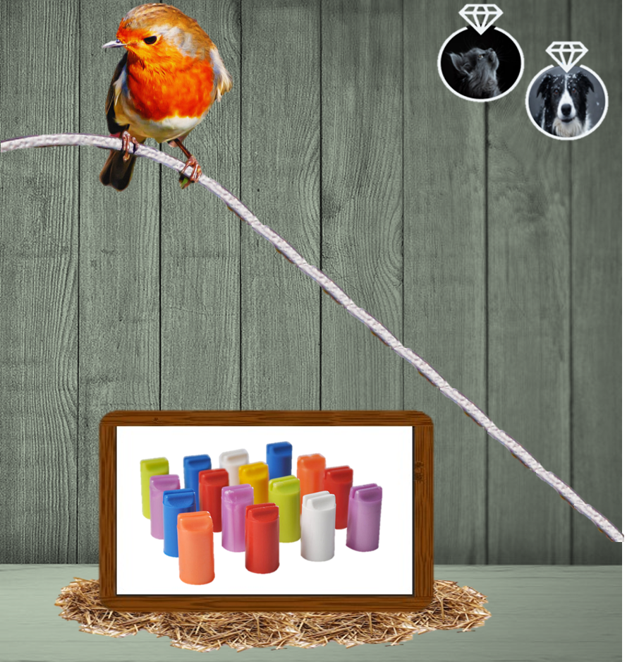 Puntera Paquete x 100