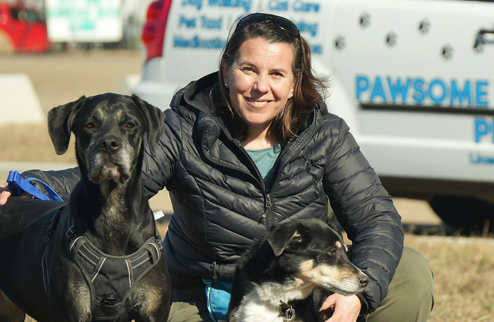 Tips for Pet Parents