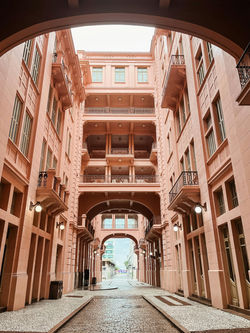 pexels-luan-de-bona-405357804-15807032