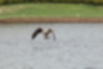 catch_of_the_day