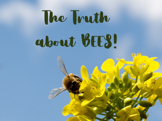 The Truth About Bees
