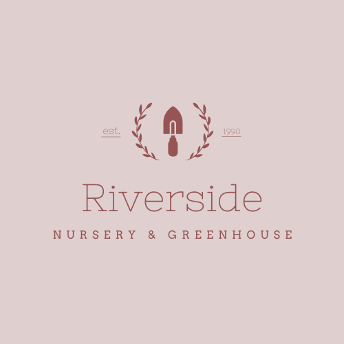 Writer: Riverside Nursery