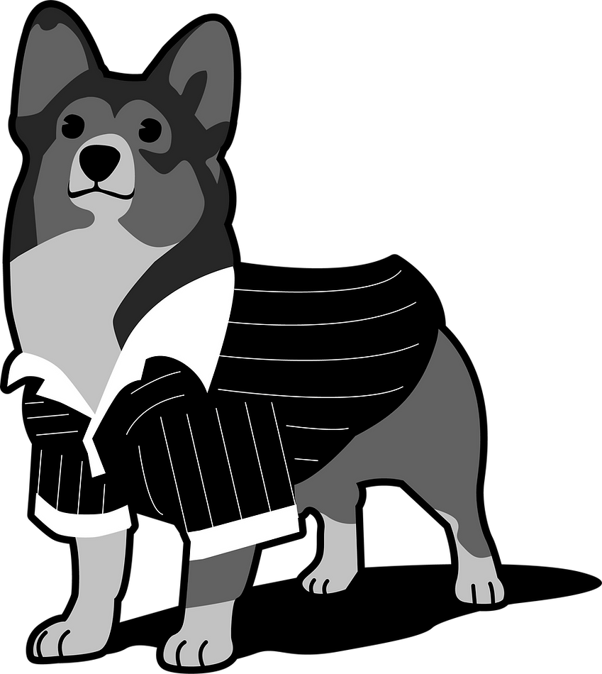 dog_prog_transparent2_edited.png