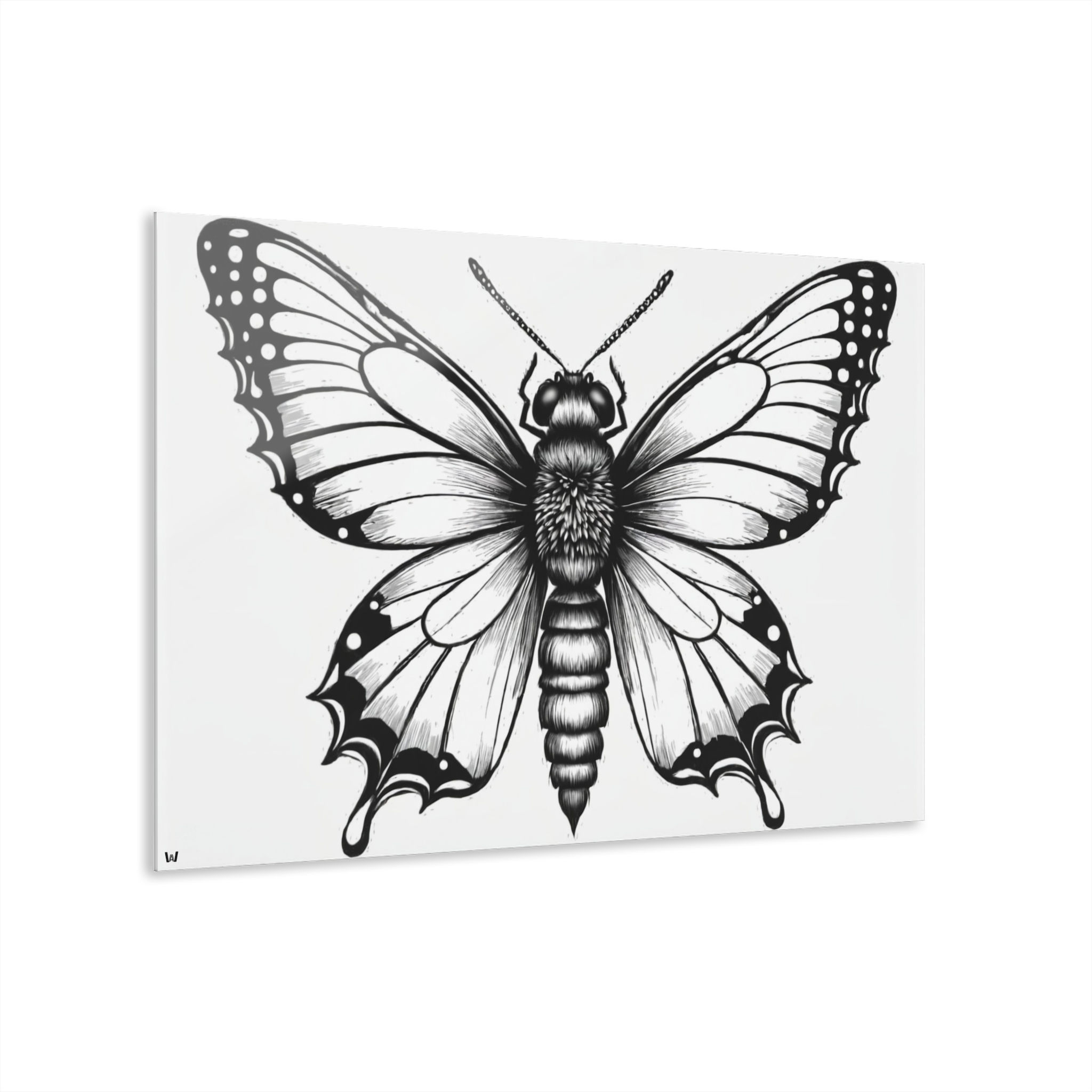 Elegant Butterfly Acrylic Print | Wall Decor