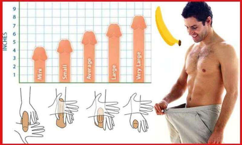 cậu nhỏ nam giới làm to
