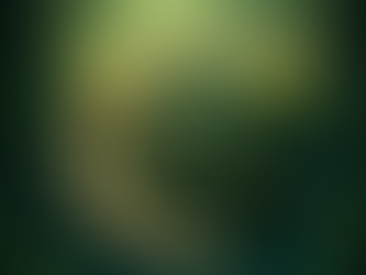 Fantasie-Reise-Bücher