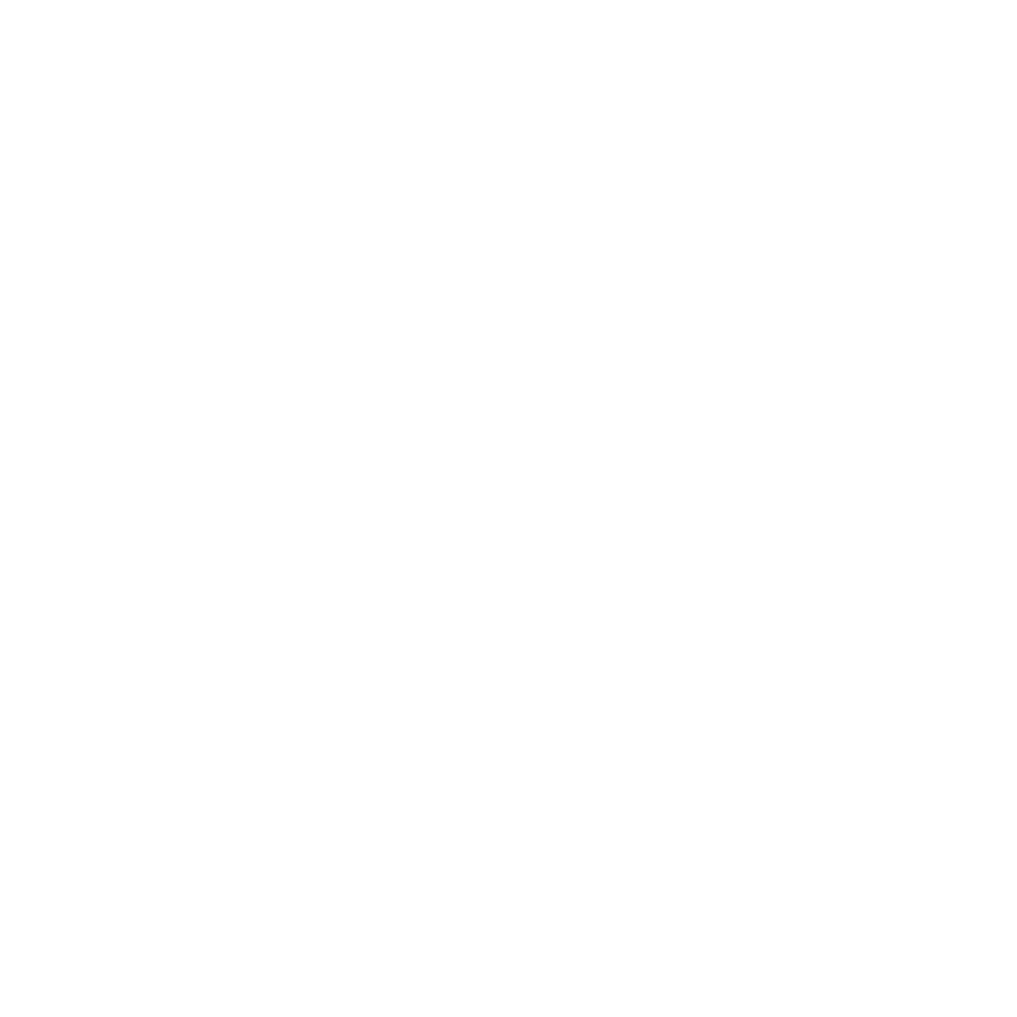 Verity White Logo.png