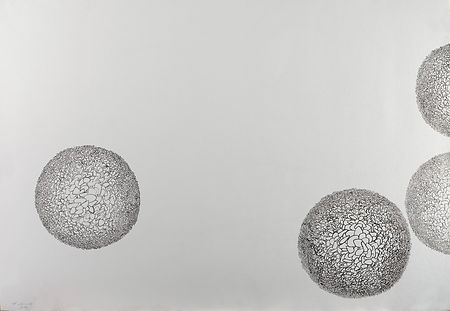 Tusche_Myriaden4_web.jpg