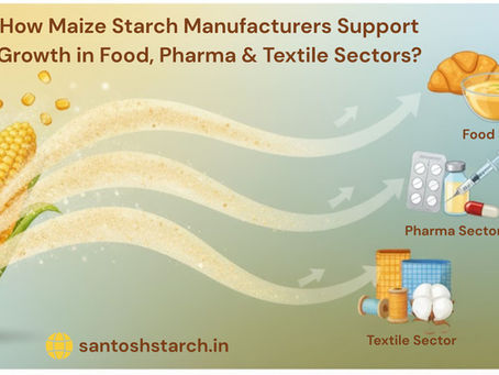 maize starch manufacturers in gujarat