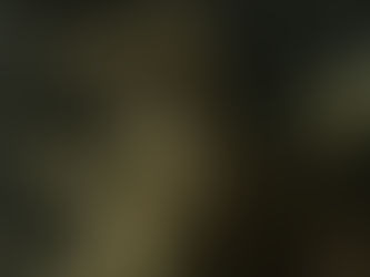 Pai-do-Mato - O Gigante da Floresta. Folclore Brasileiro - CAIMAN WIKI