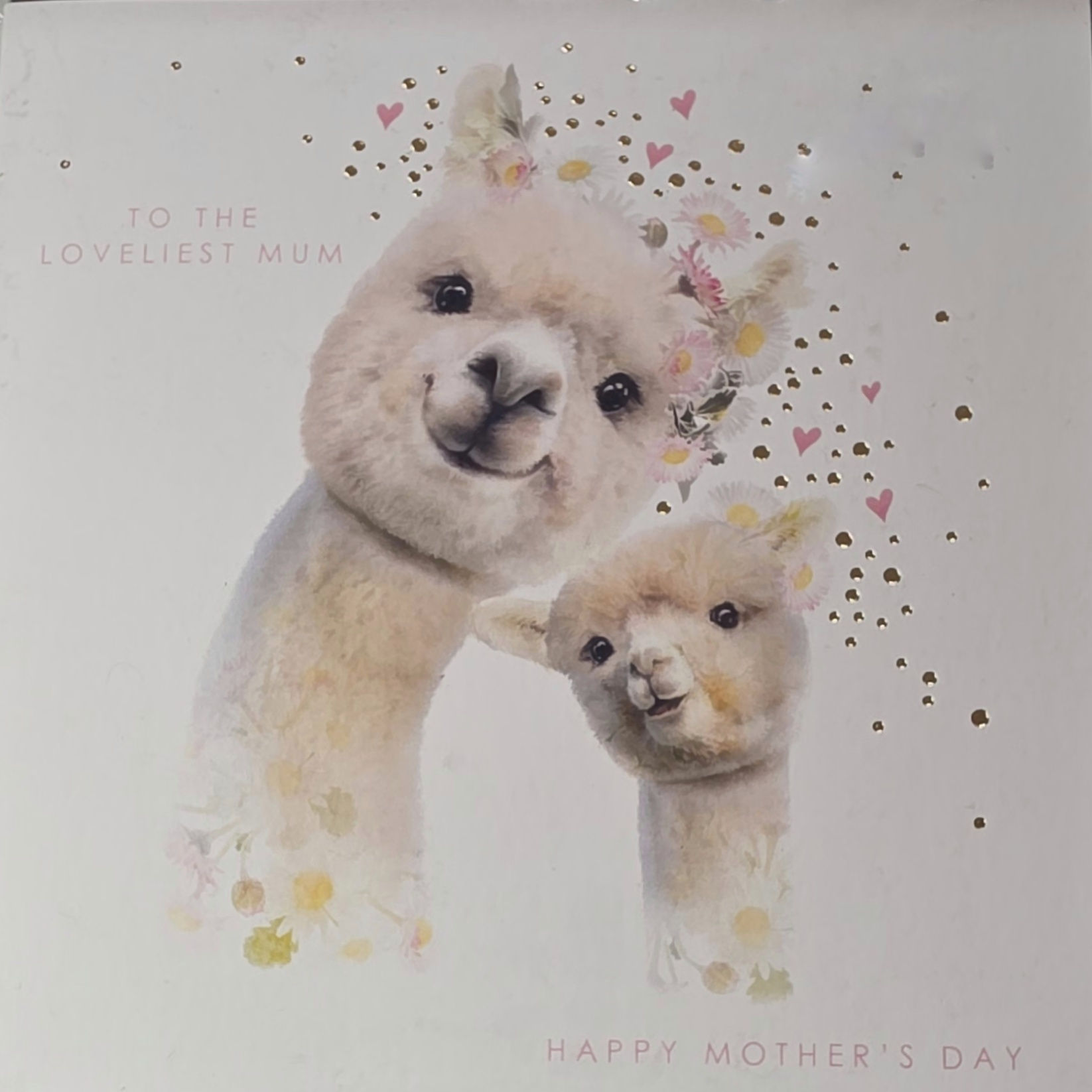 Mother's Day Card - To the Loveliest Mum