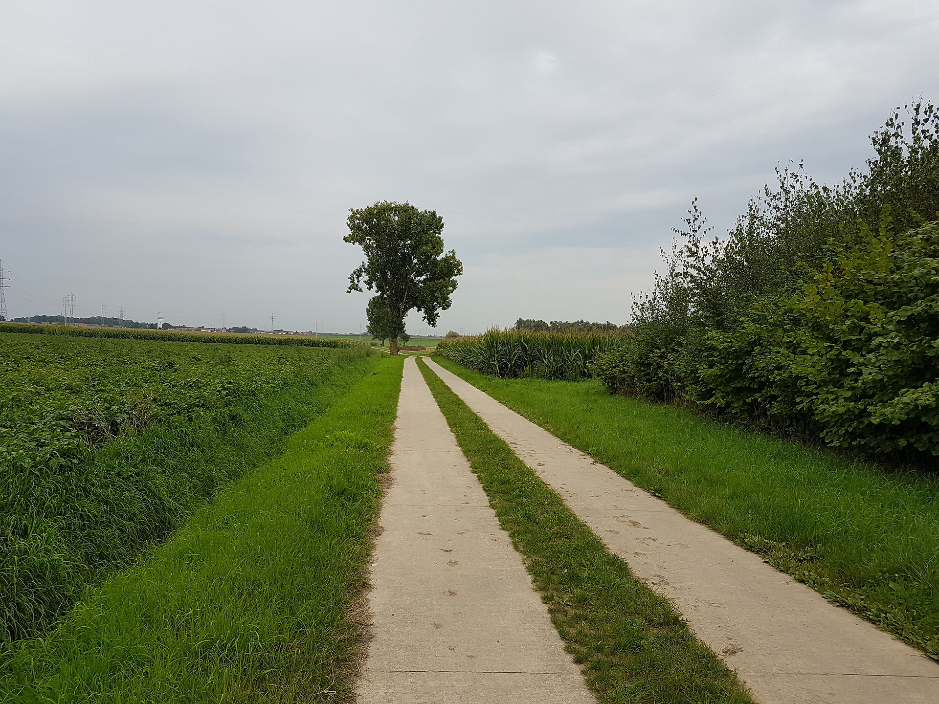 Outside Tienen camp spot
