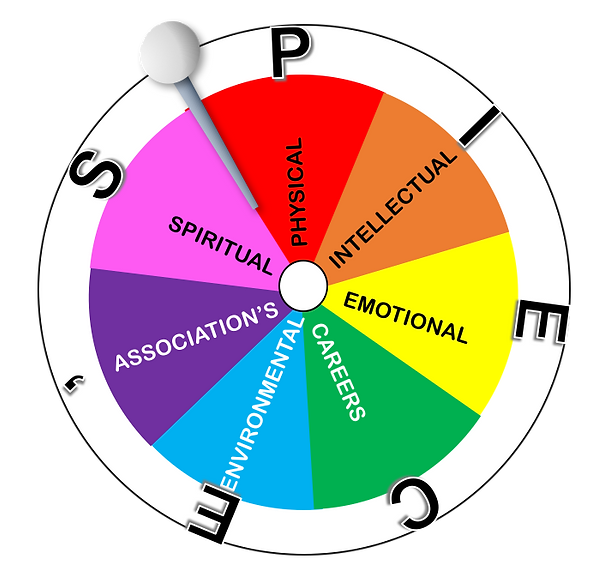 2-WELLNESS WHEEL copy.png