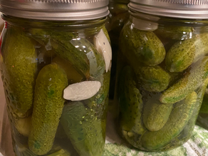 Rebel Canning: Dill Pickles No Canner Needed!