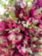 Thumbnail: Blooms & Bubbly - Floral Design Workshop