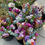 Thumbnail: 2025 Summer Flower Subscription - 6 Weeks
