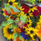 Thumbnail: 2025 Summer Flower Subscription - 6 Weeks