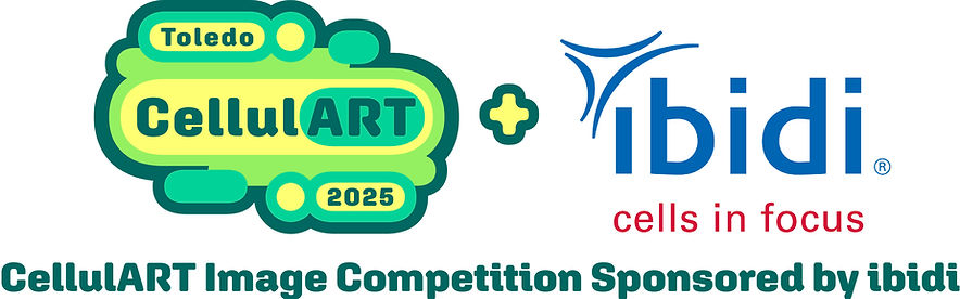 Ibidi Image Competition 2025.jpg