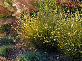 Taking an End of the Season Look
at Your Landscape