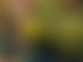 Taking an End of the Season Look
at Your Landscape