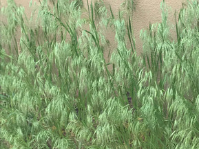 April Showers Bring May Flowers (and Weeds)
