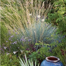 The Top Ten List to Get Your Garden Ready for Winter