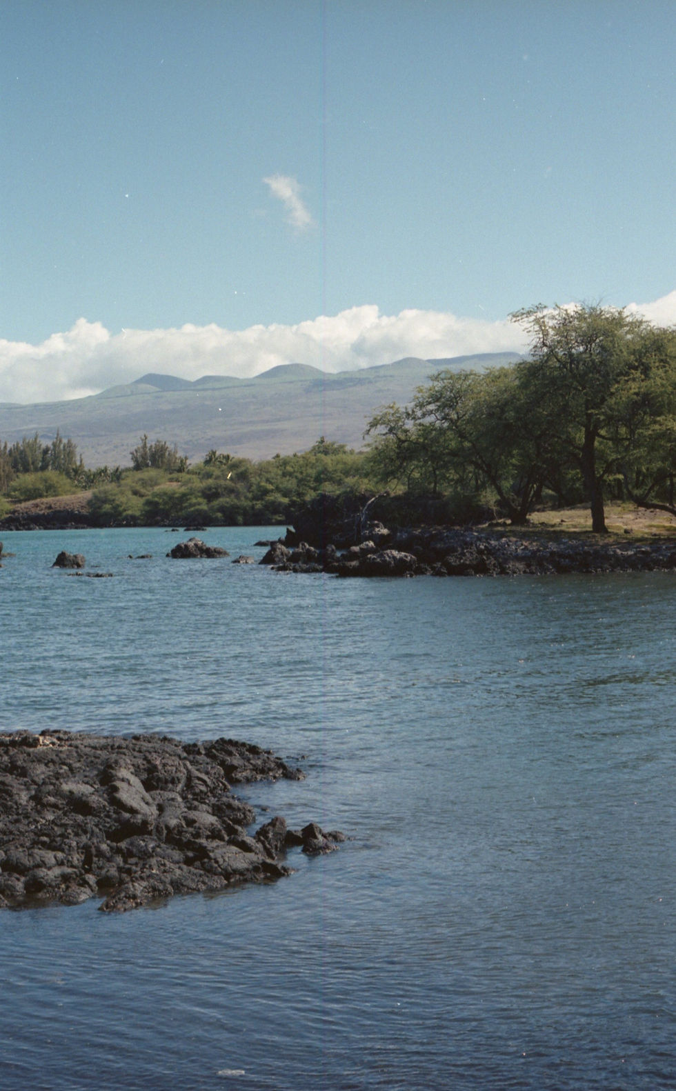 The Big Island