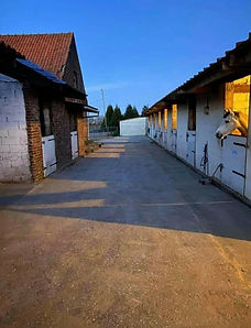 Heuvelland9.jpg