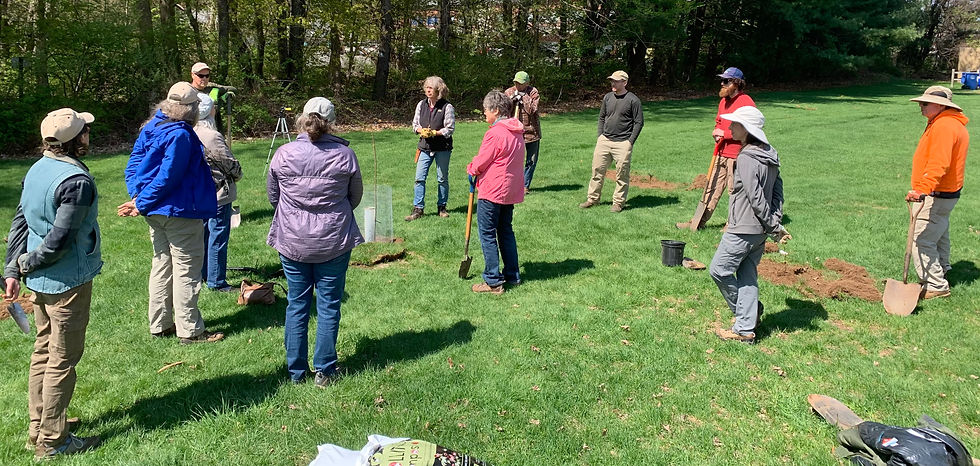 TAC NRCS spring 2023 Tree planting training audience.JPG