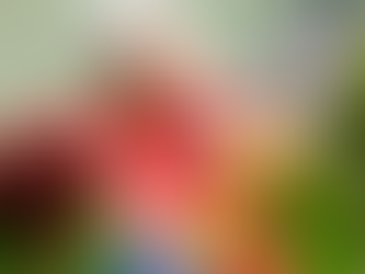 2021 Year-End Planning for Retirees