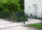 P6230408_edited.jpg