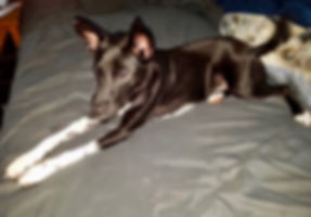 Photo 2.jpeg