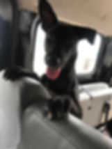 Photo 2.jpeg