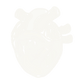 Minha Câmera. (1).png