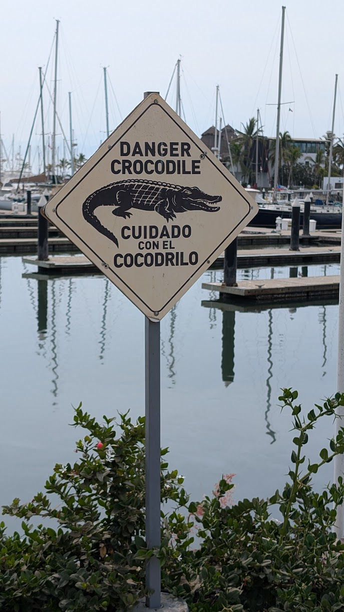 Rainy season will bring all sorts of unusual dangers, from non-potable water to these guys