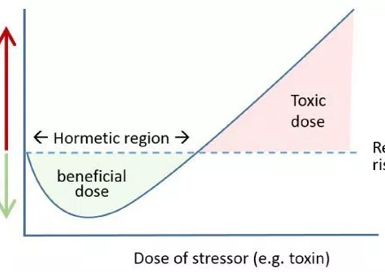 Entre o veneno e o remédio, a diferença é a dor 