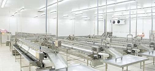 fish packing lines 123.jpg