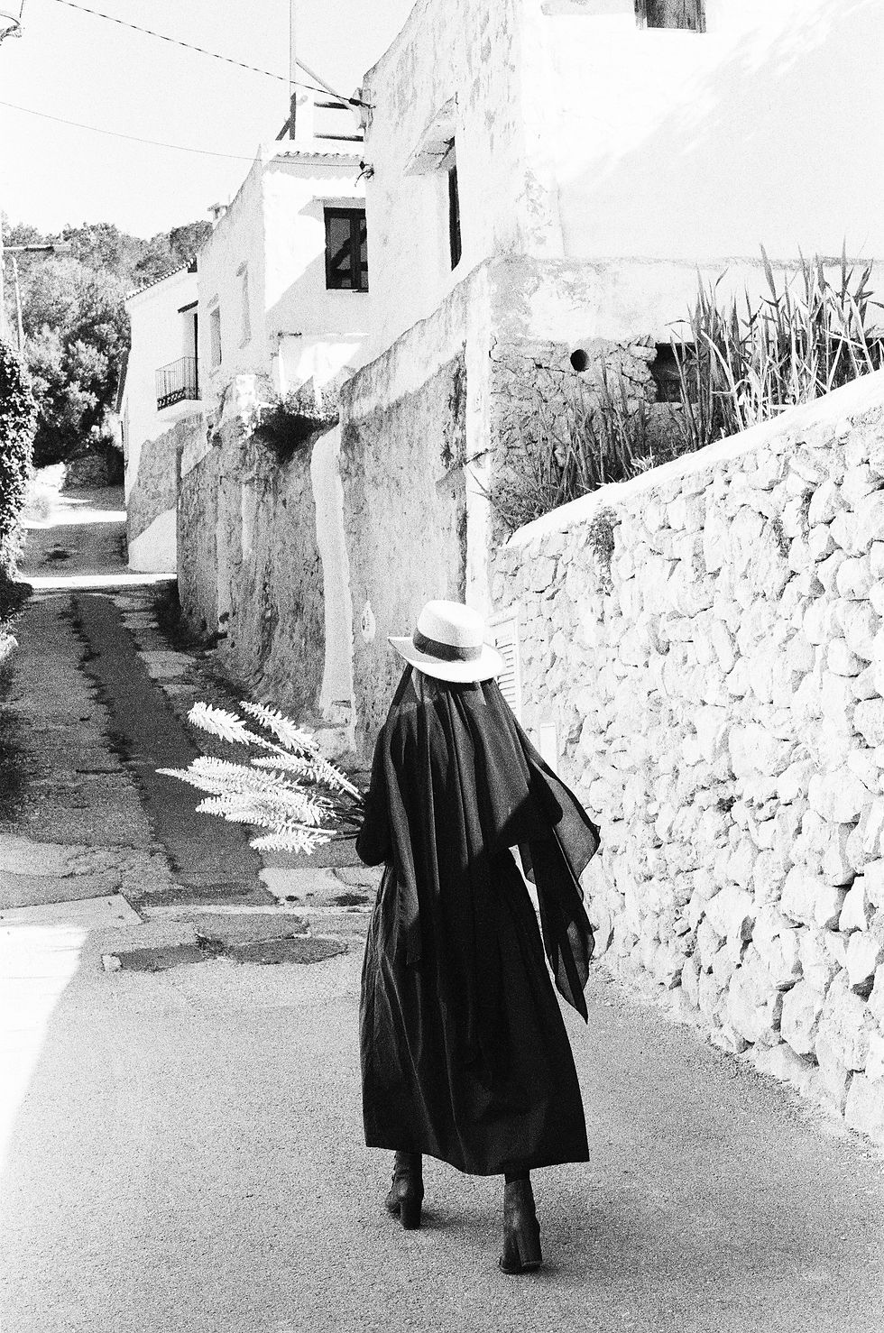 Shadow of the Island