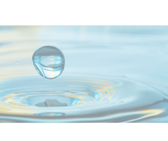 Untitled design2.png