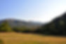 View Towards Pasture Corner